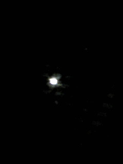 (untitled)